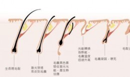 医美爆料事件视频播放下载,揭秘行业黑幕，下载观看引发热议