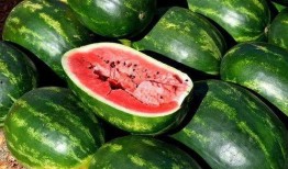 网红劲爆吃瓜图片,劲爆瞬间引爆网络！