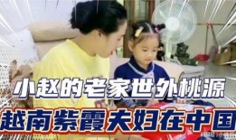 越南紫霞夫妇爆料视频,真实生活与网络形象的碰撞